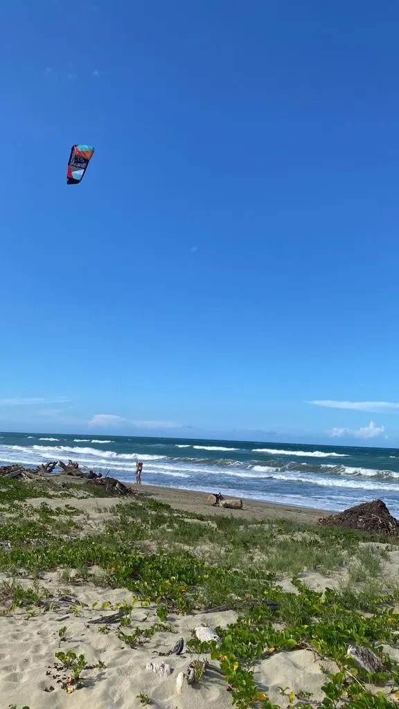 solares y terrenos - Oportunidad Única: Terreno en Primera Línea de Playa Gaspar Hernández 0