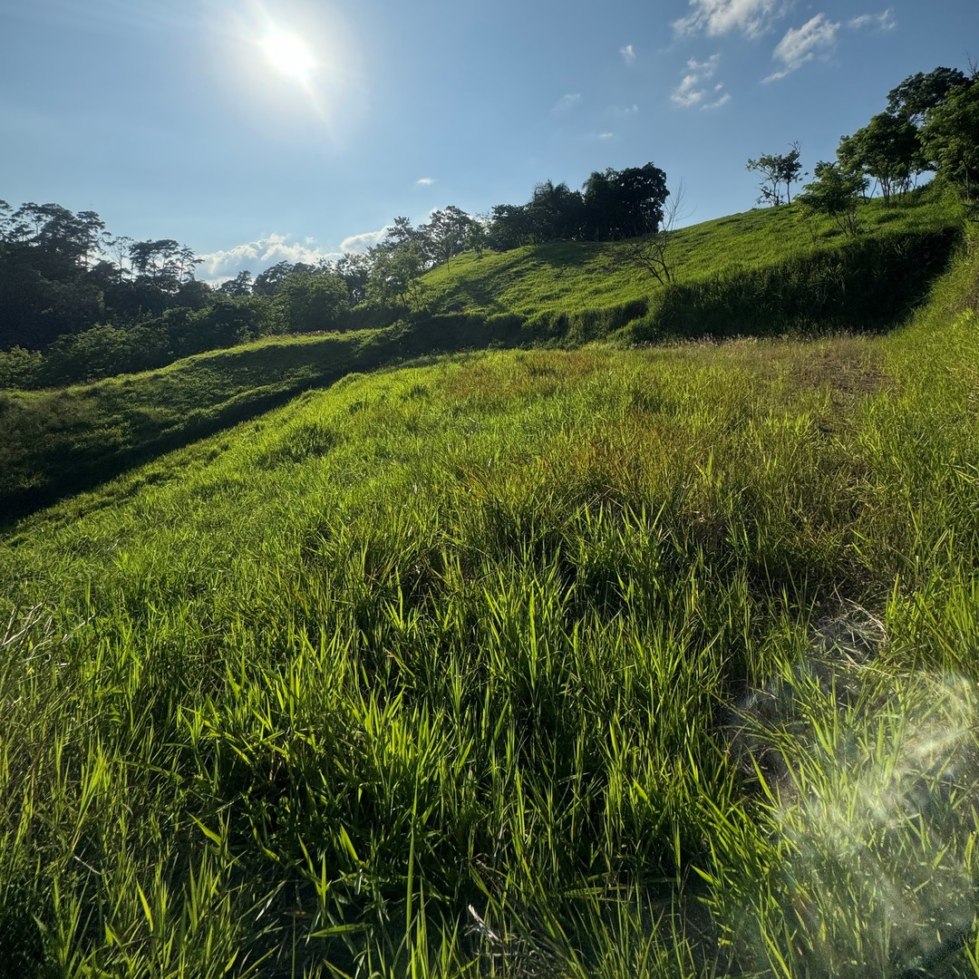 solares y terrenos - Ocaso escondido ¡Vistas Espectaculares! Solar Exclusivo en Jarabacoa. 
