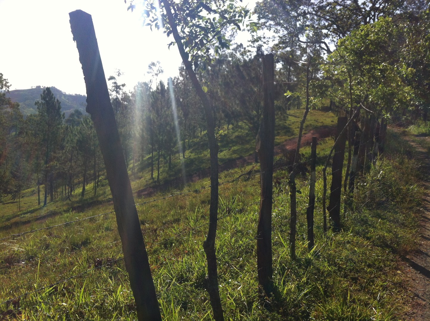 solares y terrenos - Finca en Jarabacoa 8