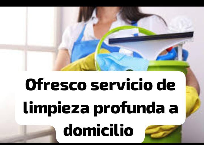 servicios profesionales - Hago limpieza profunda para apartamento y oficina 