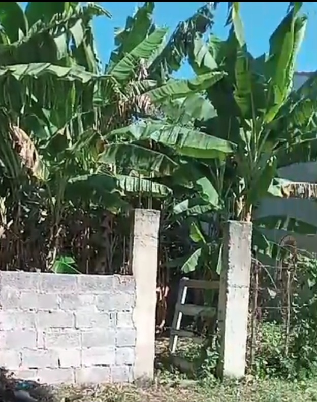 solares y terrenos - Solar de 224 metros, excelente ubicación. Listo para construir tu casa.