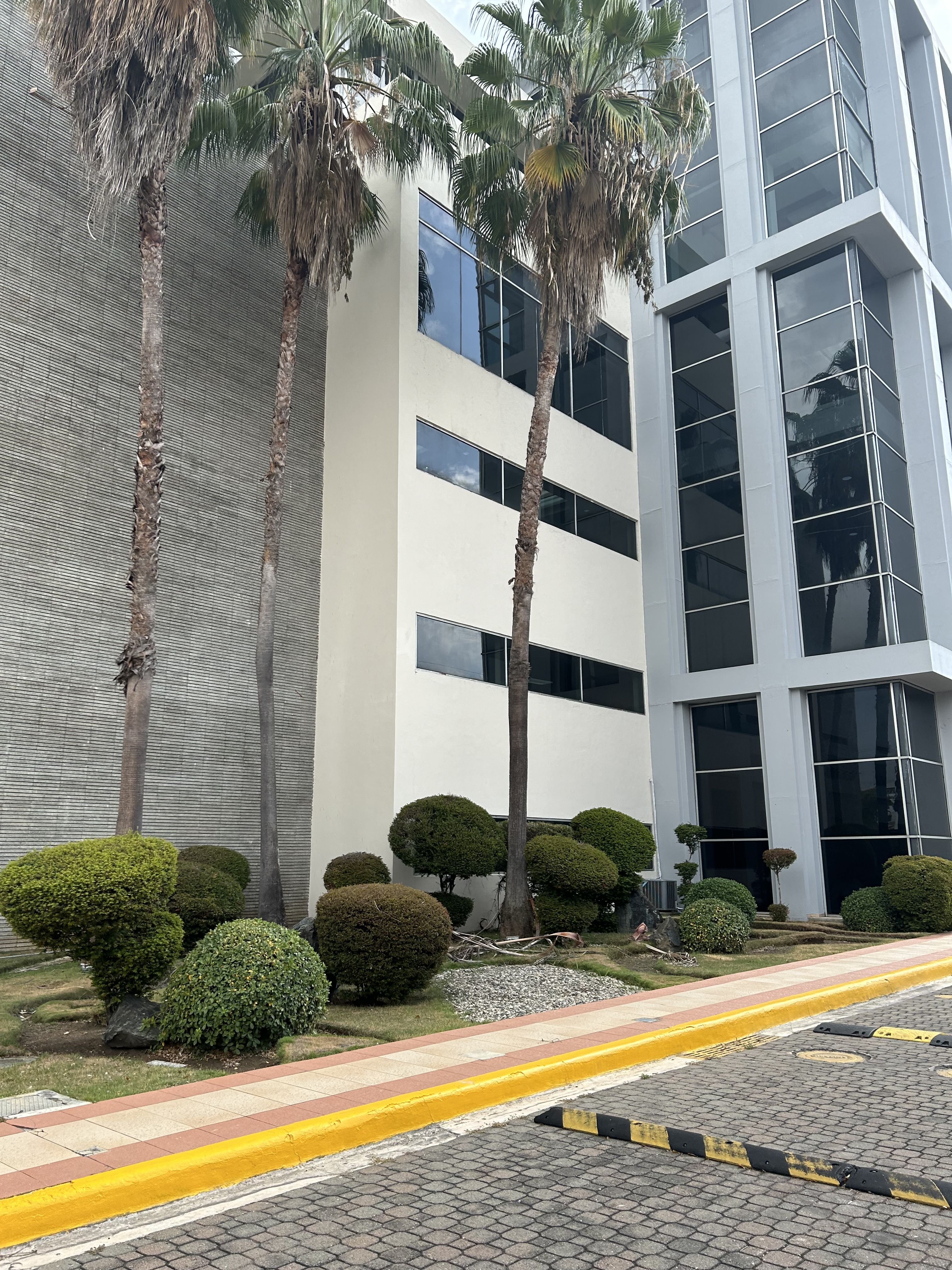 oficinas y locales comerciales -  Edificio corporativo alquiler en Naco 6