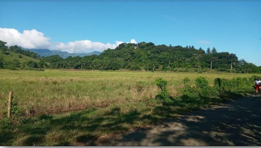 solares y terrenos - Solar 38,589 mts Juma Bejucal, Bonao 4