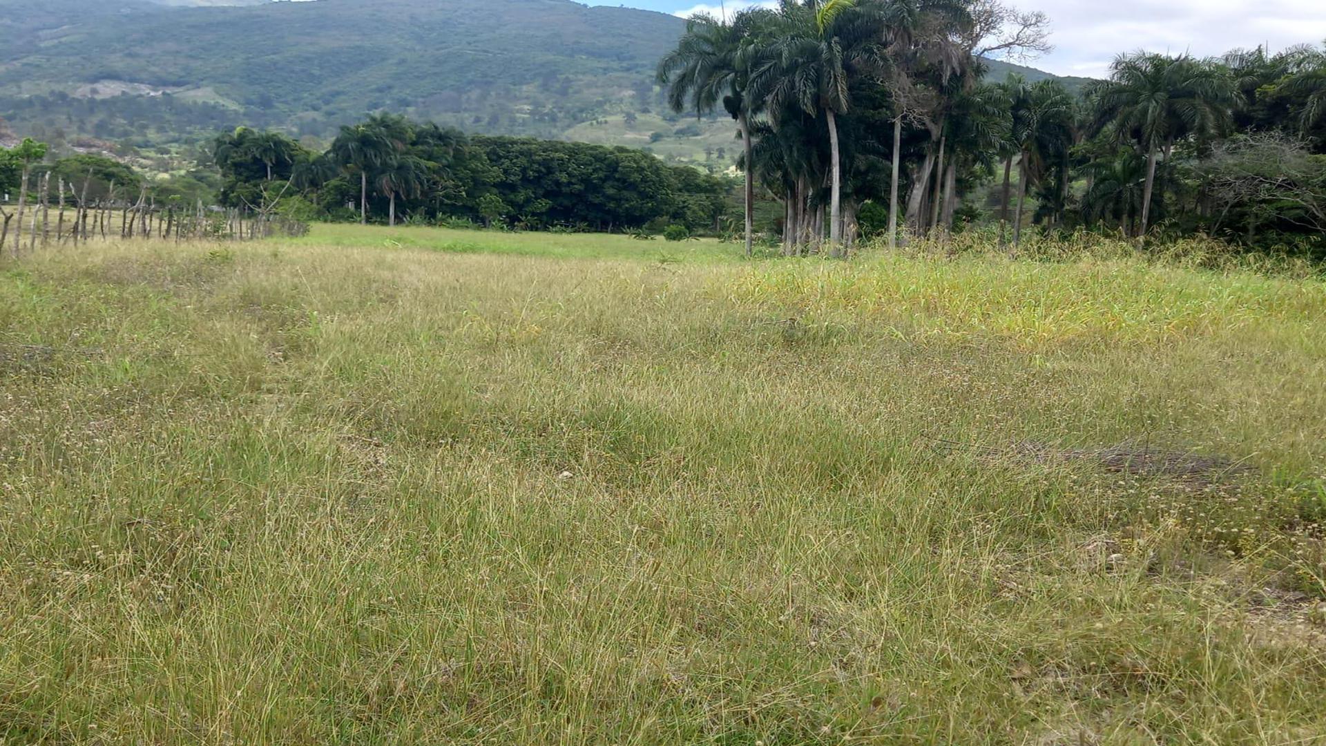 solares y terrenos - Terreno en Venta en las Matas de farfan