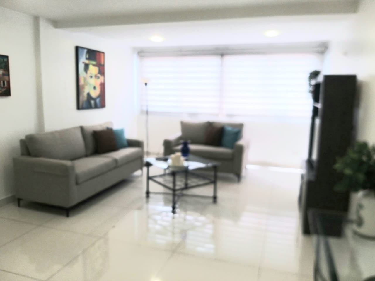 apartamentos - Alquiler Apartamento Amueblado de 2 Habitaciones, Naco, Santo Domingo 0