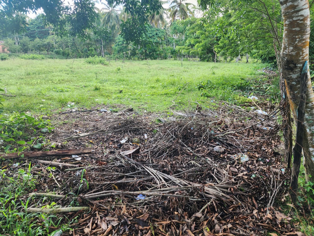 solares y terrenos - Terreno cerca playa el indio samana  1