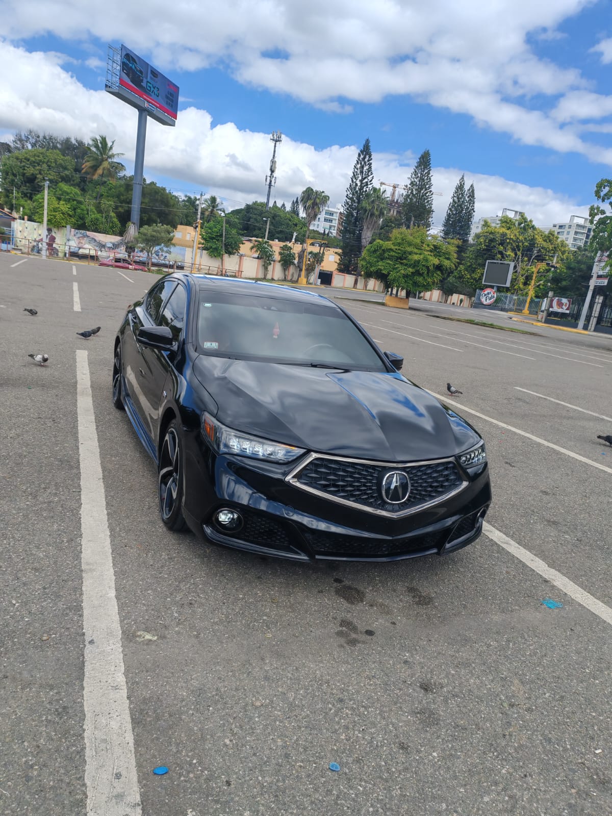 carros - acura tlx 2019