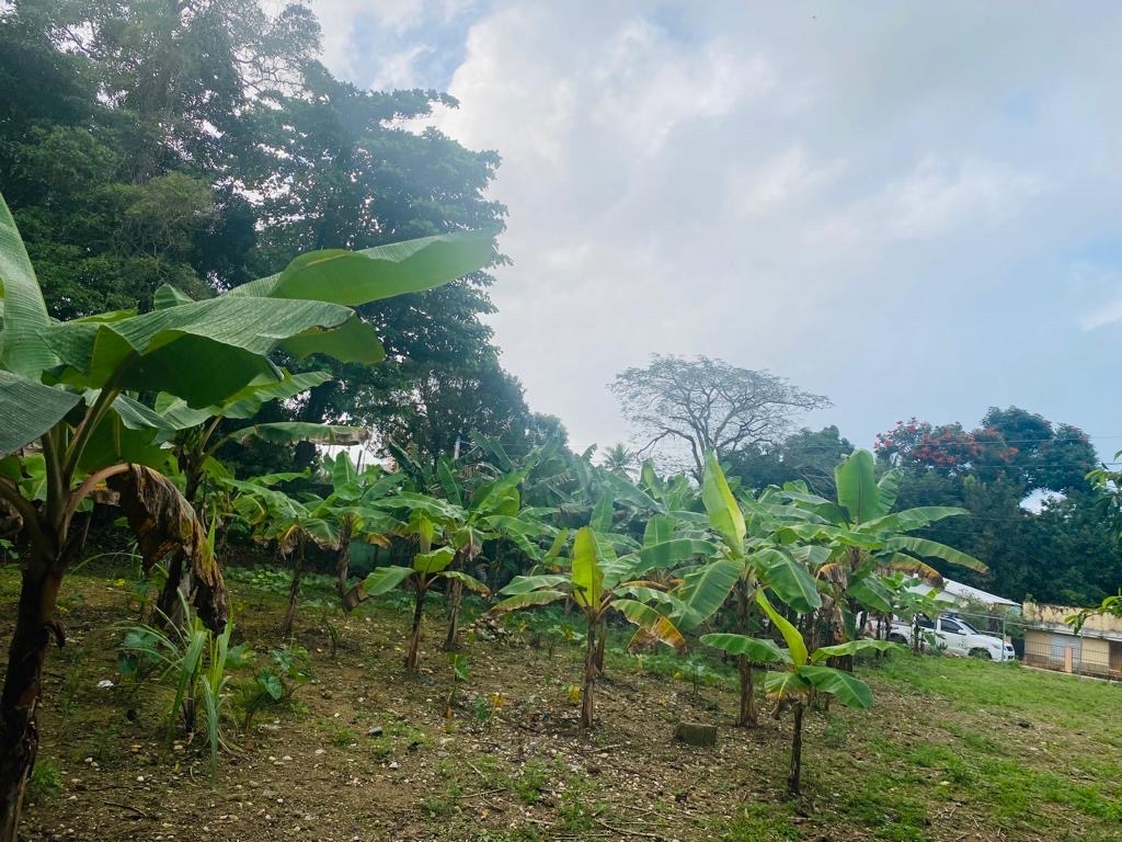 solares y terrenos - Se vende solar en comunidad de camu, puerto plata  5