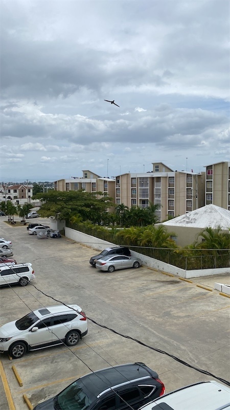 apartamentos - Vendó tener nivel en gurabo arriba. 4.700.000 7