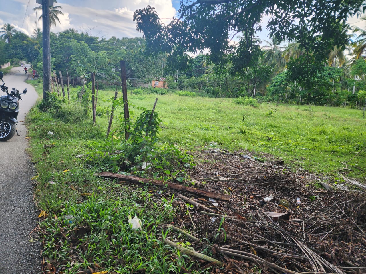 solares y terrenos - Terreno cerca playa el indio samana  2