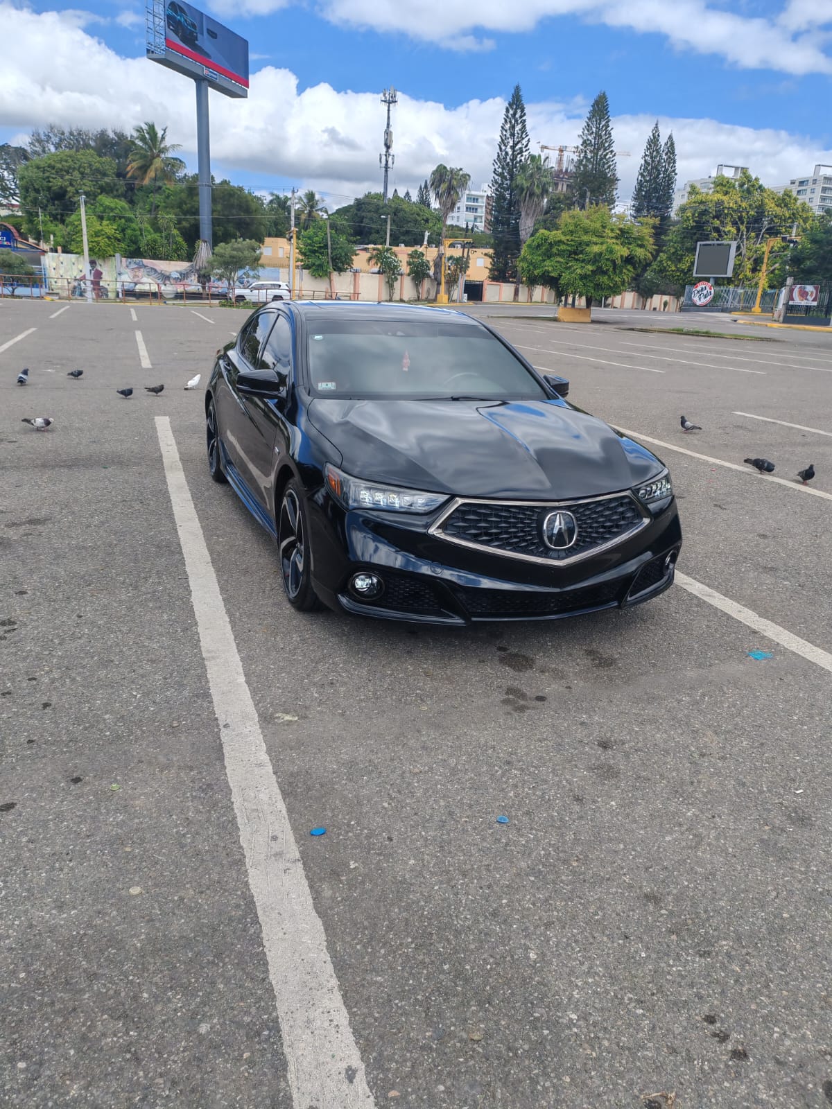 carros - acura tlx 2019 1