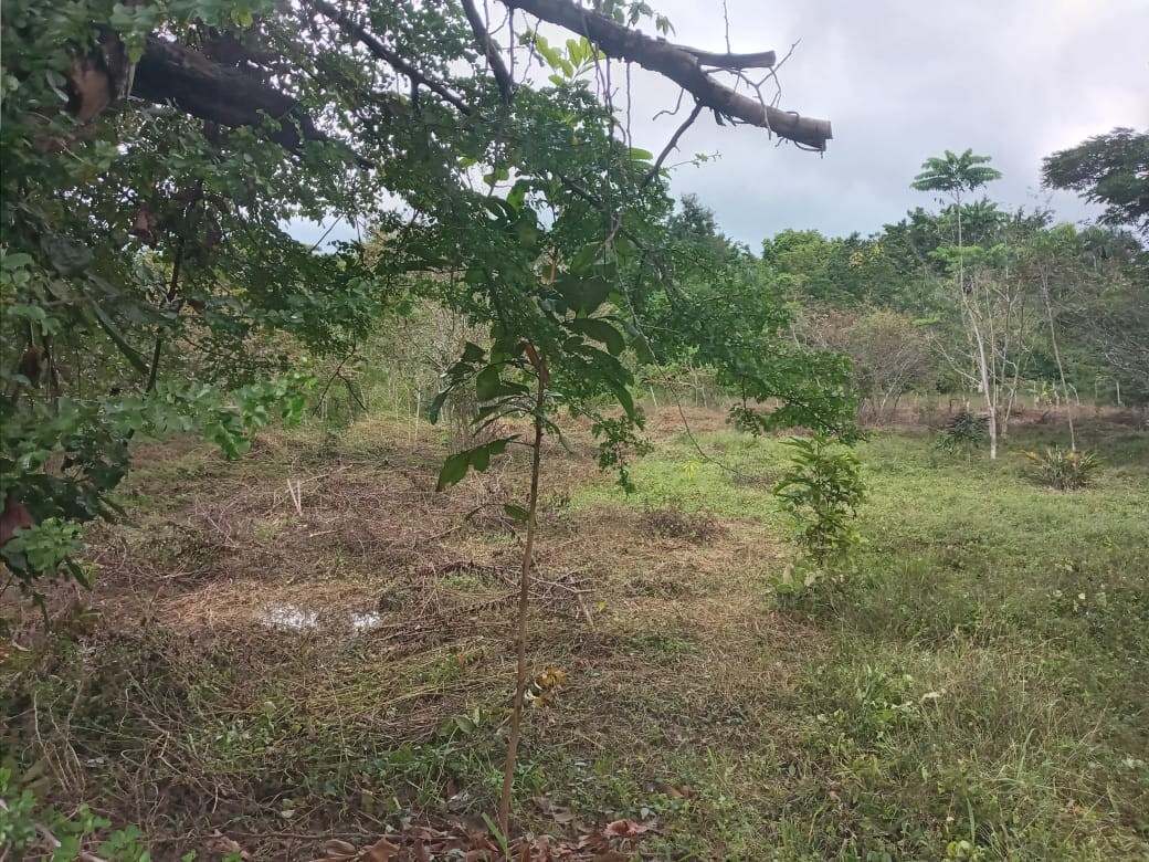 solares y terrenos - vendo solar en santo domingo este 2