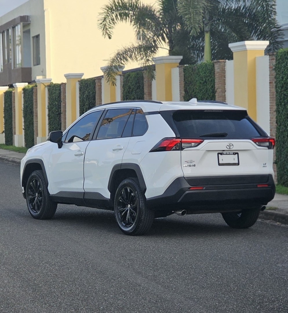 jeepetas y camionetas - 2019 Toyota Rav4 LE 4x4  9