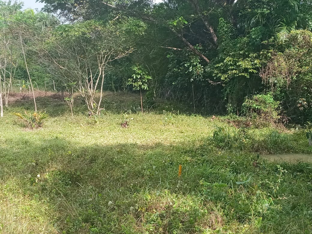 solares y terrenos - vendo solar en santo domingo este 3