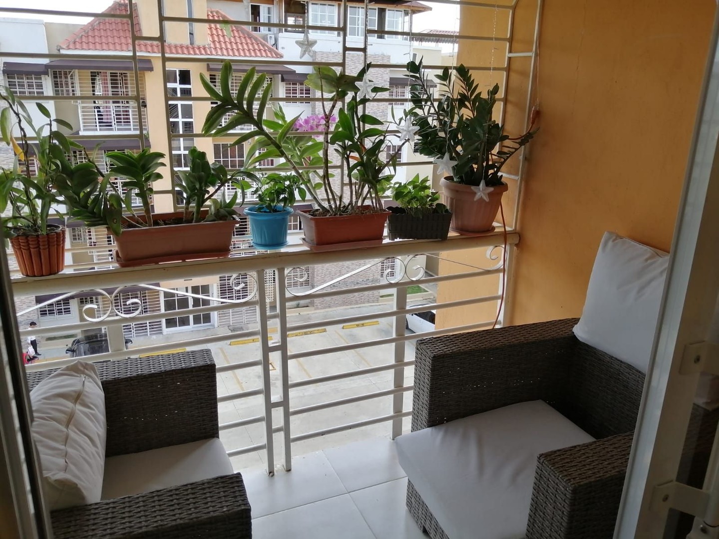 apartamentos - San Isidro Residencial Las Palmeras 3 habitaciones 2 baños 1 parqueo terraza  1