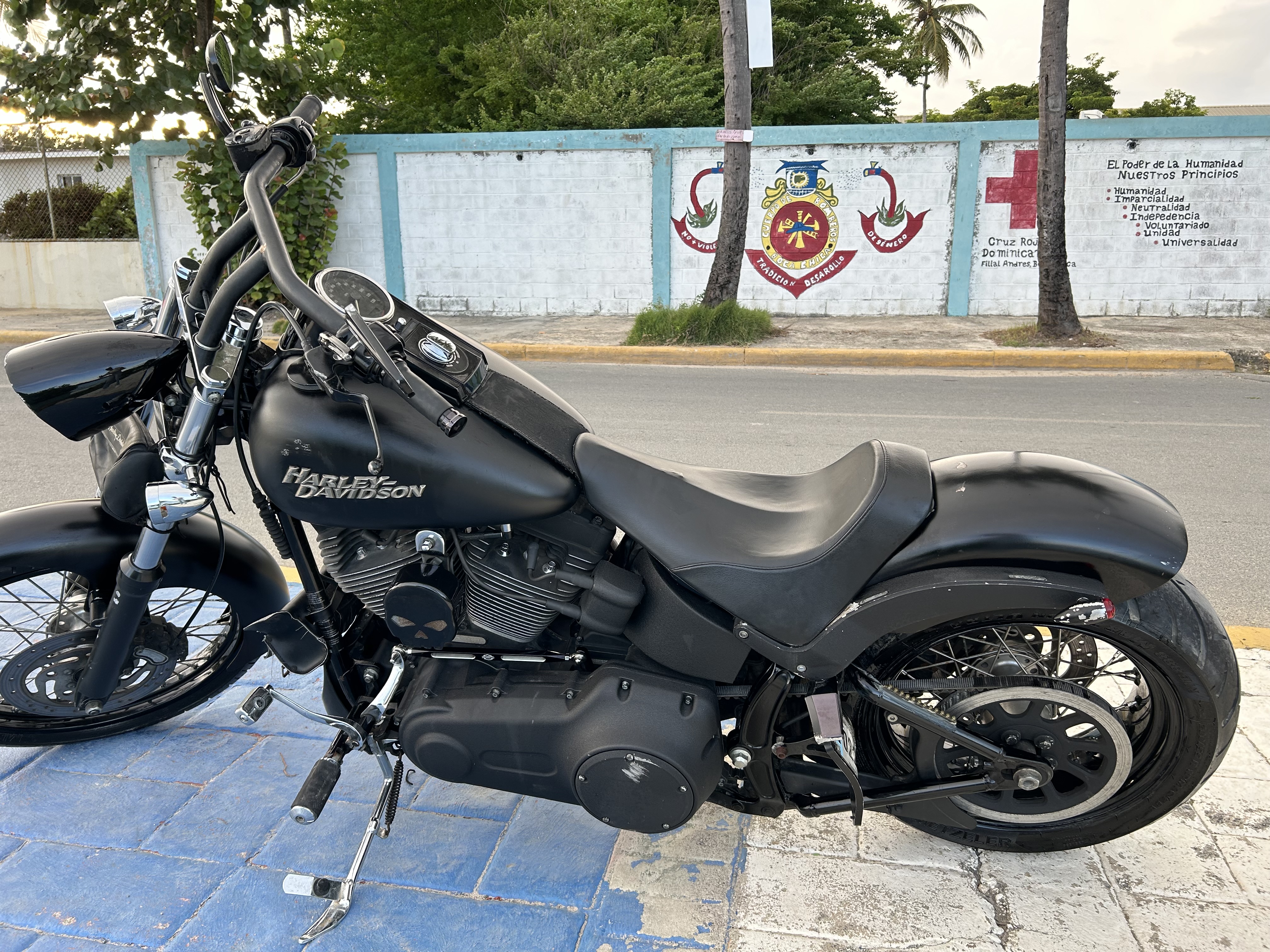 motores y pasolas - Harley Davidson Softail año 2010 1