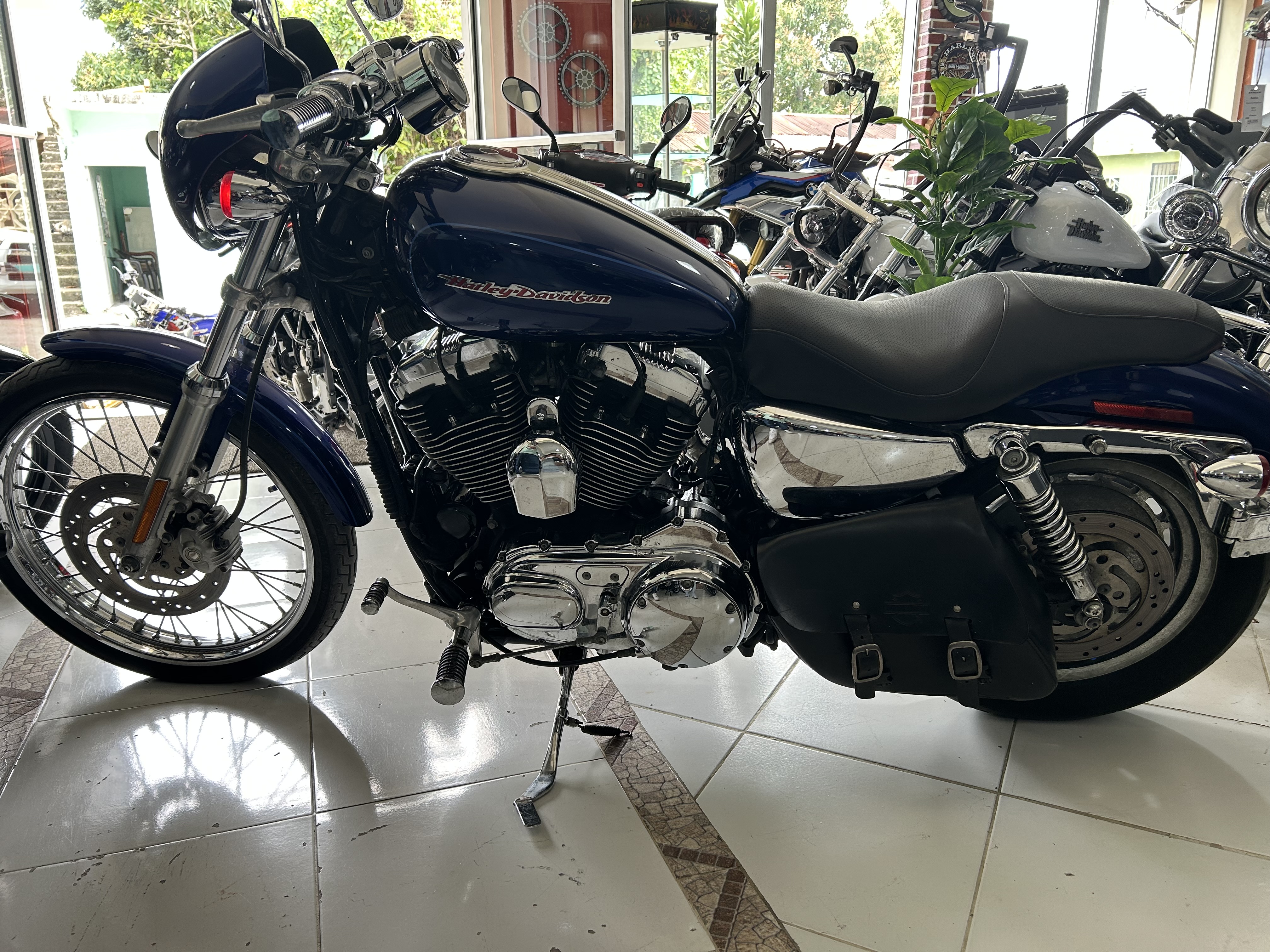 motores y pasolas - Harley Davidson Sportster Xl1200 año 2007 4