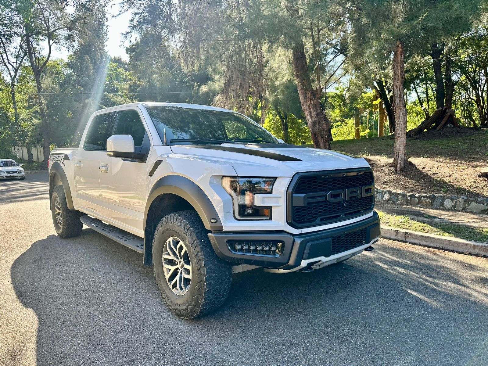 jeepetas y camionetas - Ford Raptor SVT 2018 impecable 