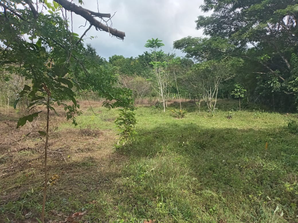 solares y terrenos - vendo solar en santo domingo este 8