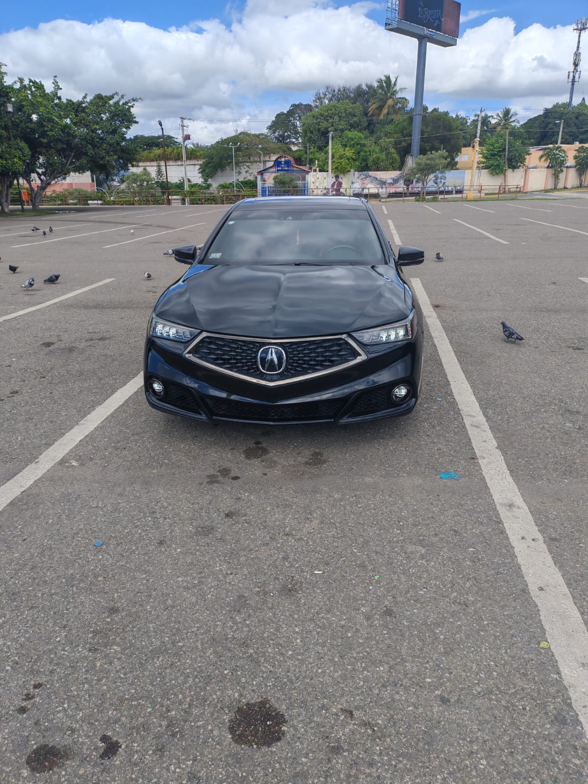 carros - acura tlx 2019 8