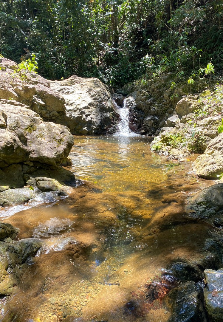 solares y terrenos - Jarabacoa, Solar de 140.000 metros, con pozas y rios, deslindado.  1