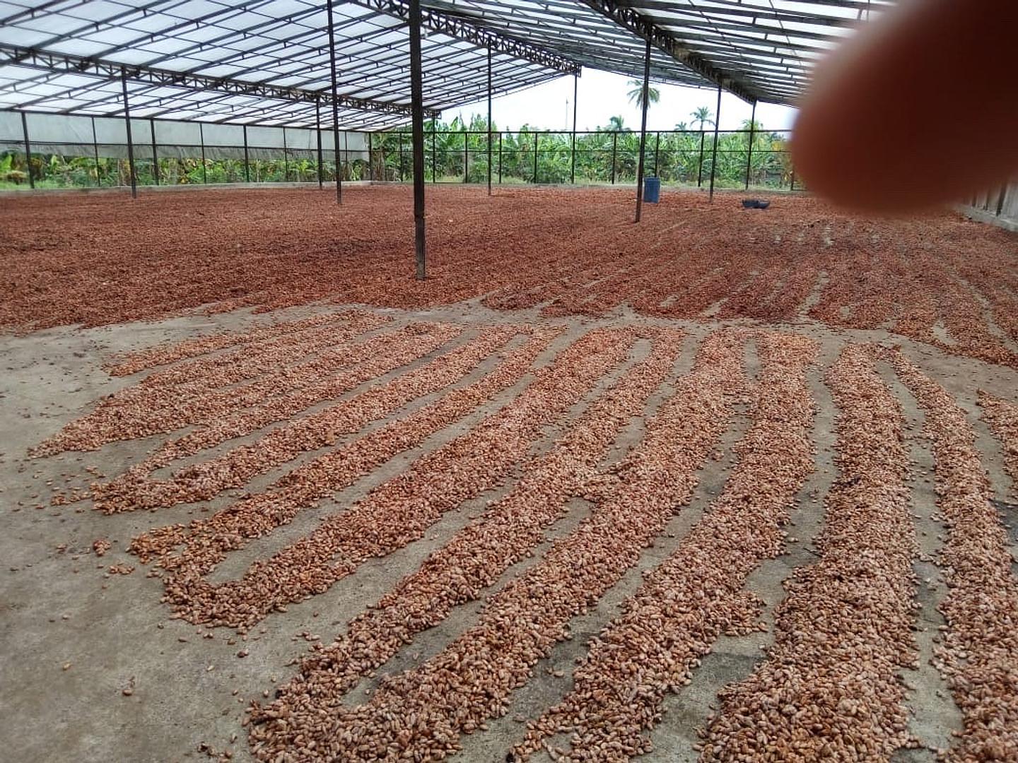 solares y terrenos - vendo finca de  acacao en promoción  2
