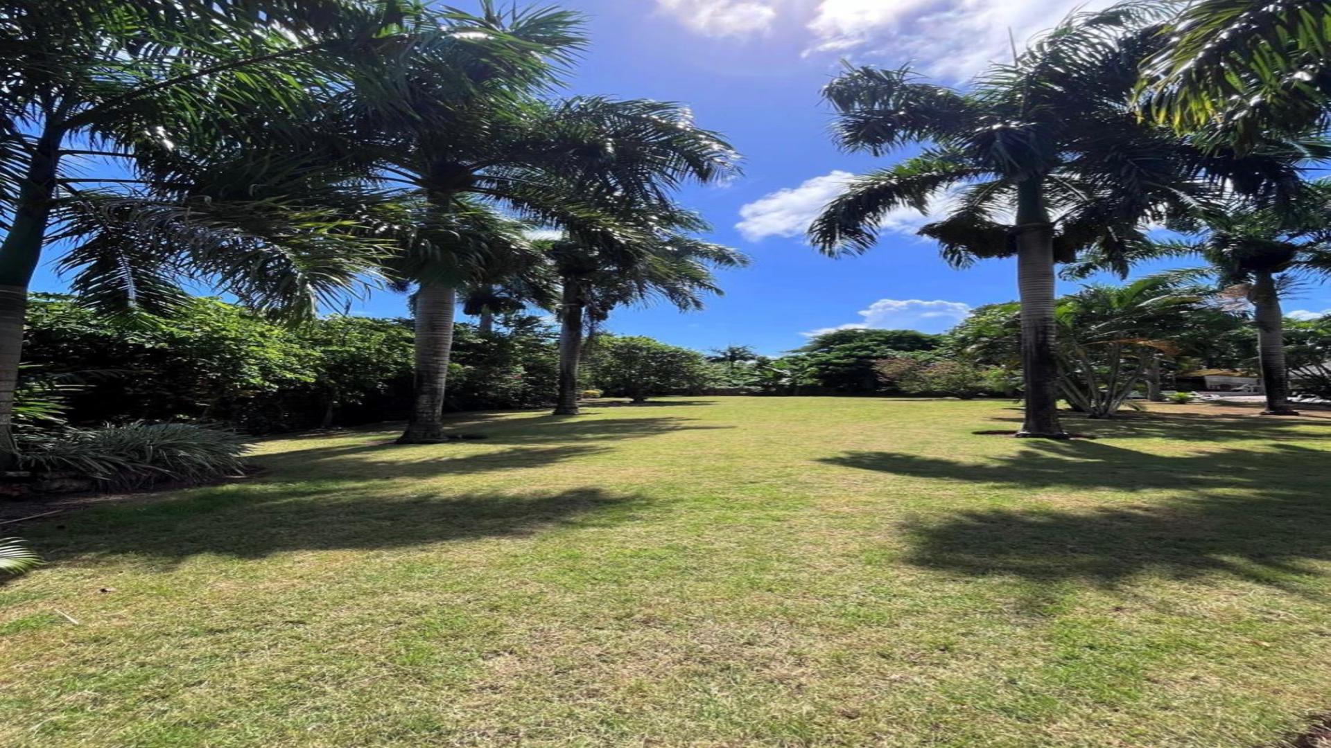 solares y terrenos - Venta de terreno cerca de la playa - las Galeras Samaná 0