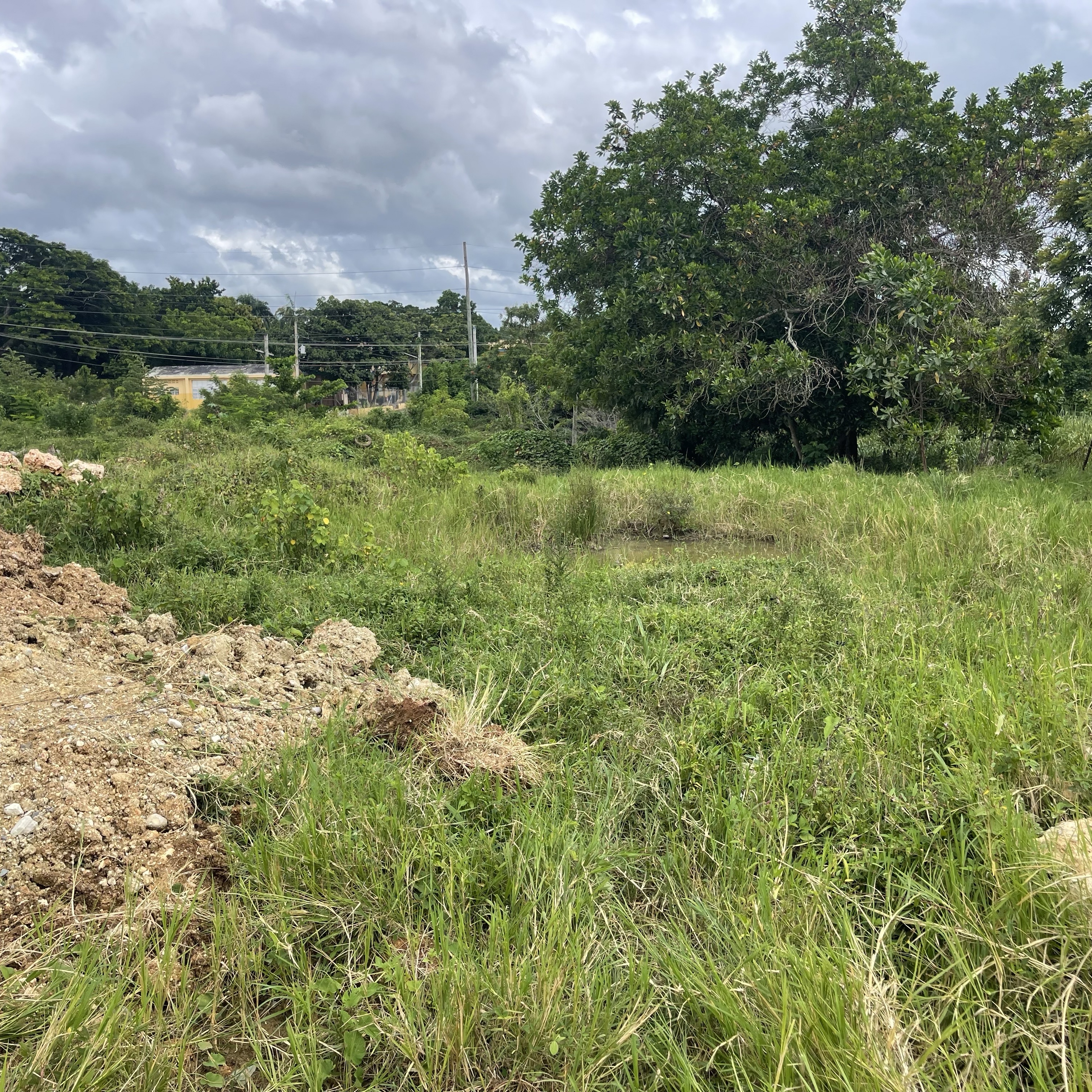 solares y terrenos - Vendo Terreno en la Autopista Duarte, Santo Domingo Oeste  0