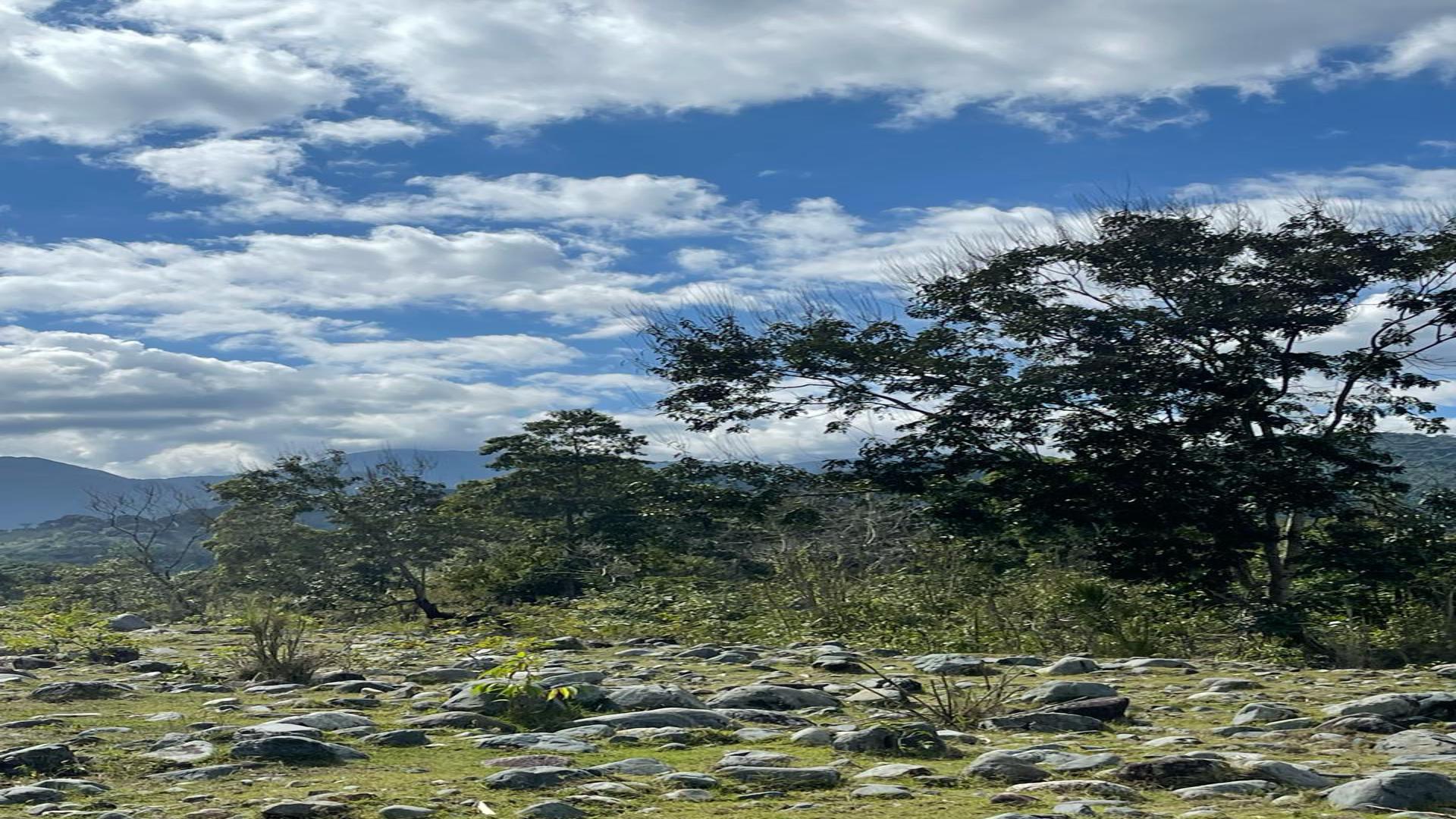 solares y terrenos - Terreno en Villa Altagracia 3