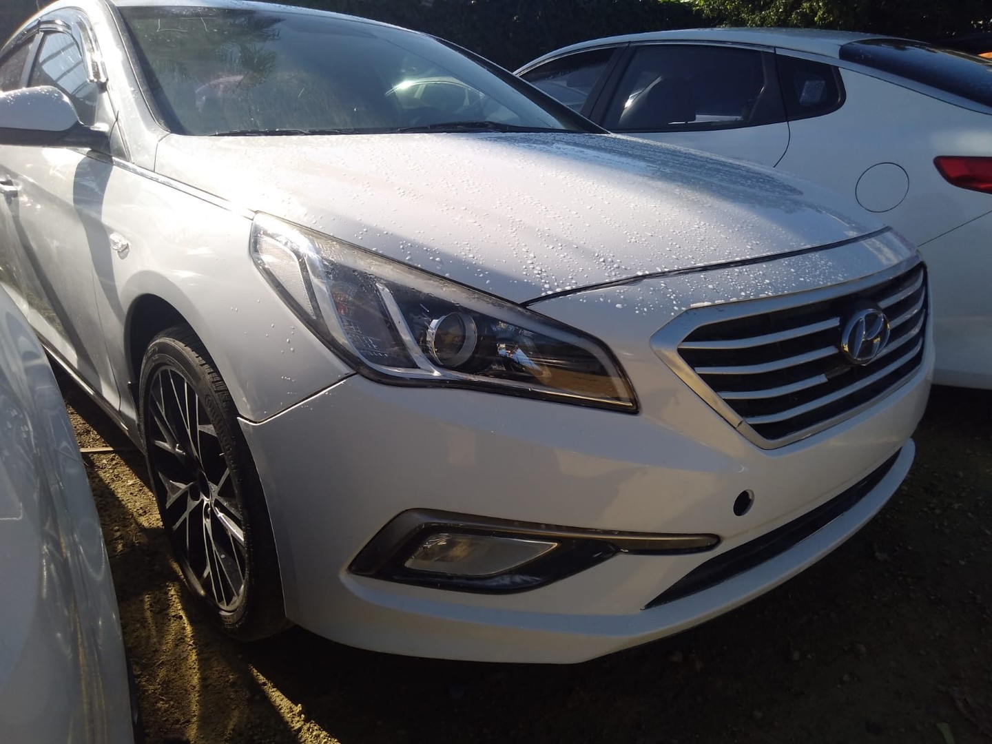 carros - HYUNDAI SONATA LF  2017 BLANCO 4