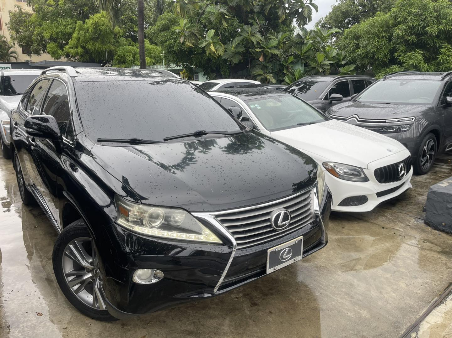 jeepetas y camionetas - LEXUS RX350 2015