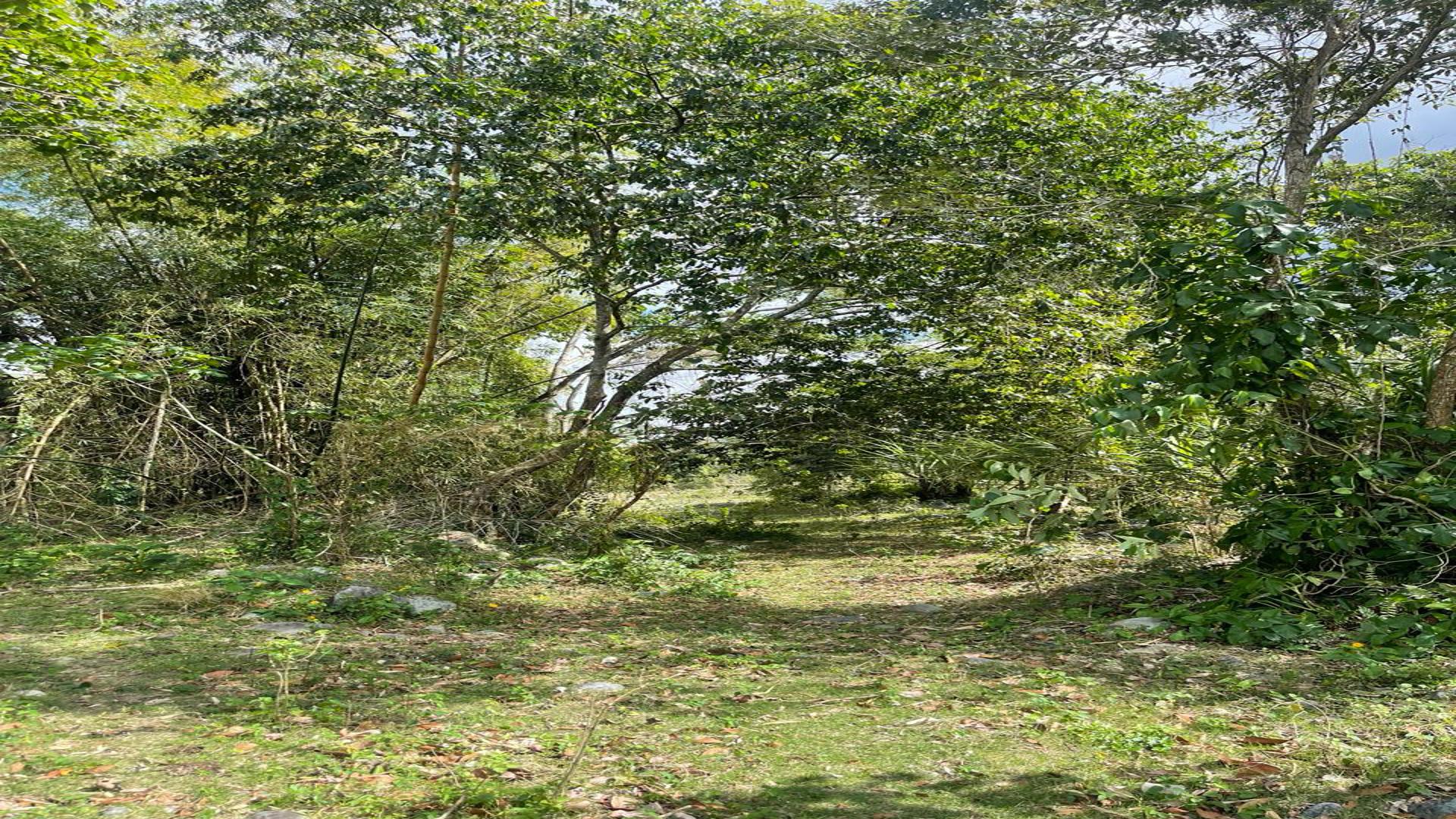 solares y terrenos - Terreno en Villa Altagracia 1