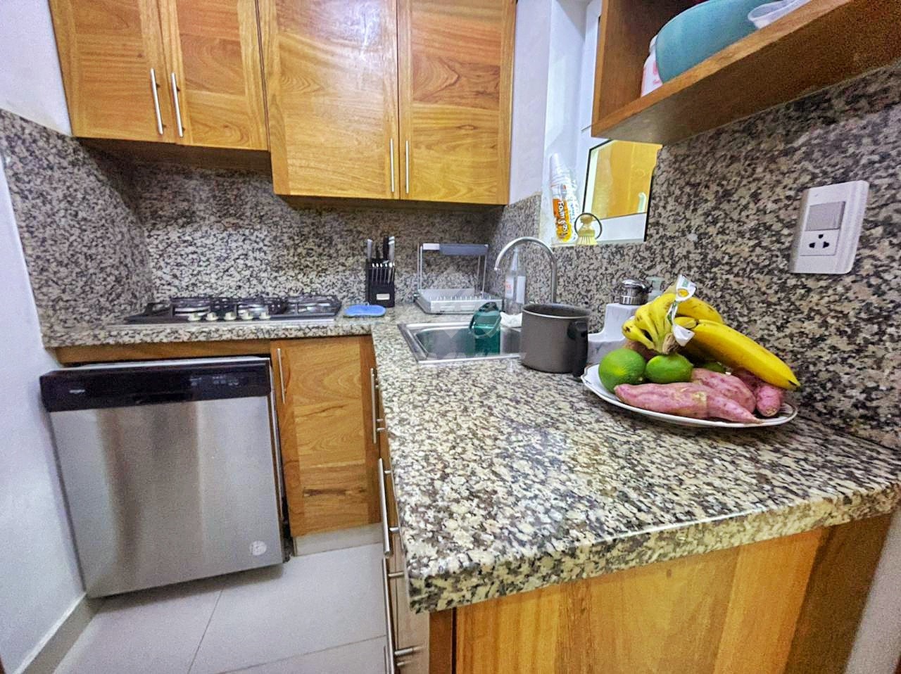 apartamentos - PISO ALTO CON ELEVADOR LA ESMERALDA SANTIAGO  8