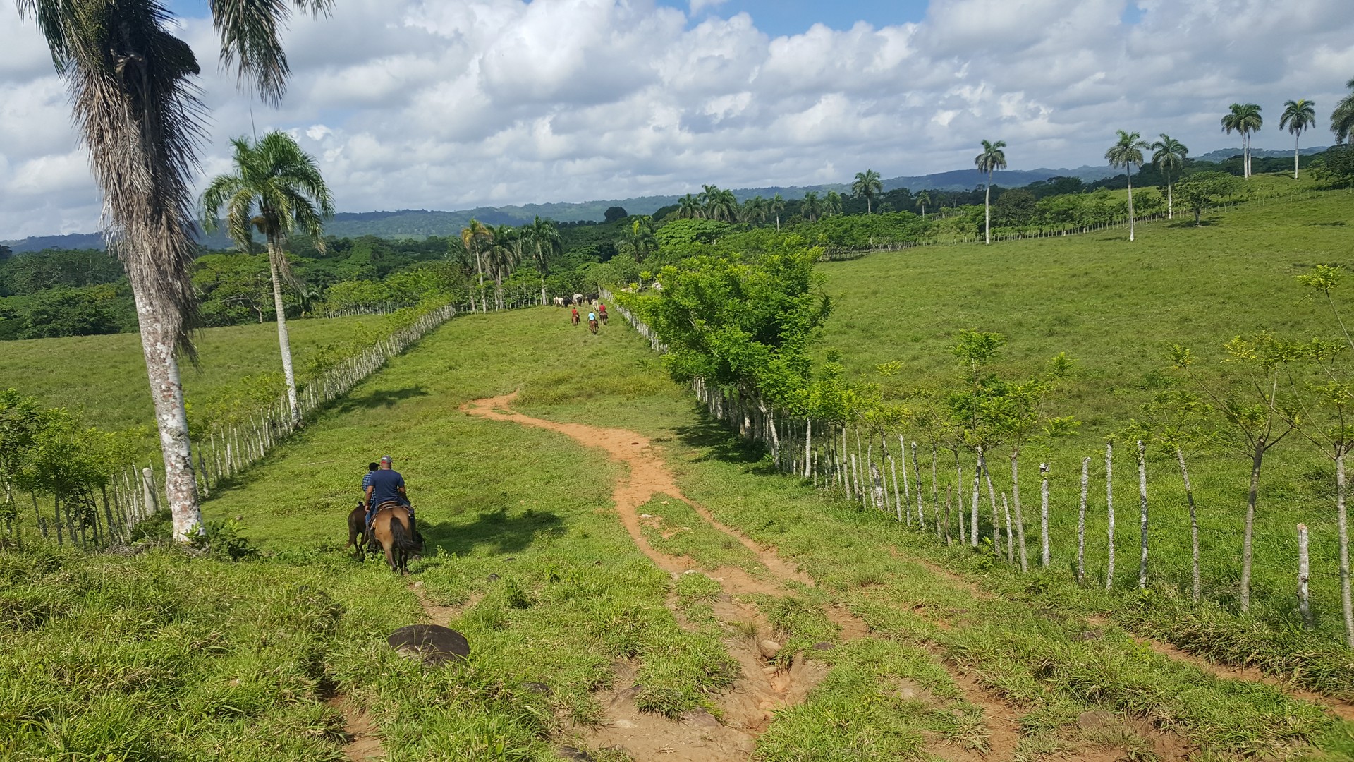 solares y terrenos -  Finca El Valle Hato Mayor  0