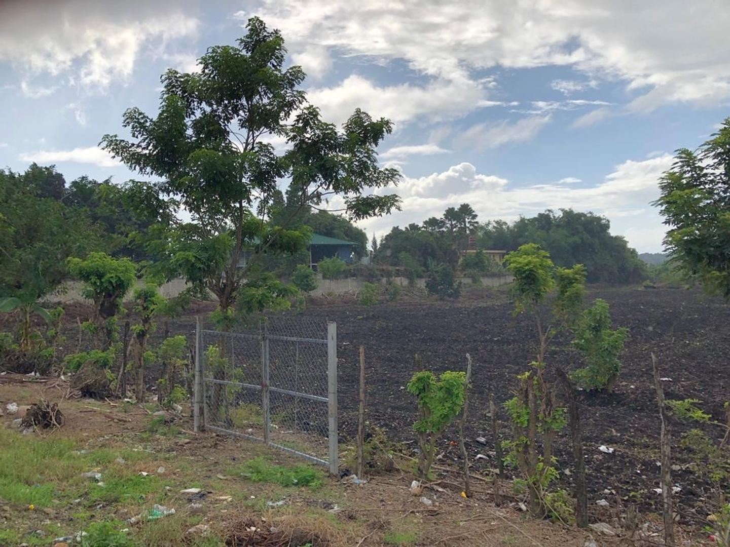 solares y terrenos - Terreno en moca