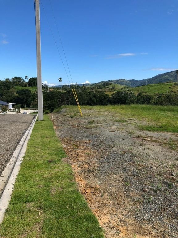 solares y terrenos - Terreno en venta en un prestigioso lugar de la cuidad de Jarabacoa. 1