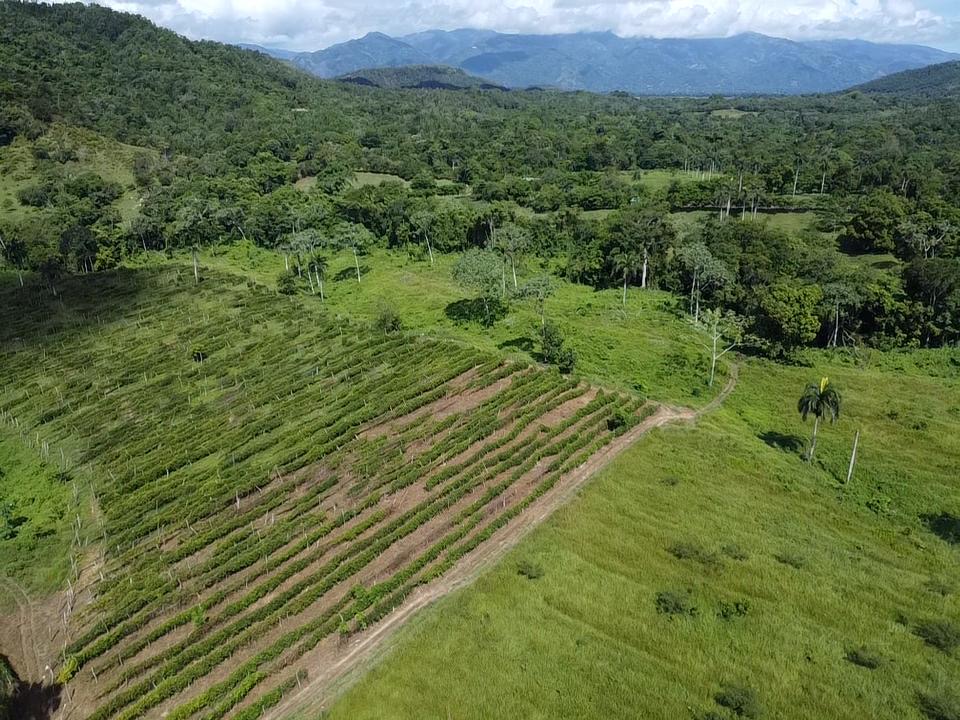 solares y terrenos - Vendo proyecto Invernadero en Bonao