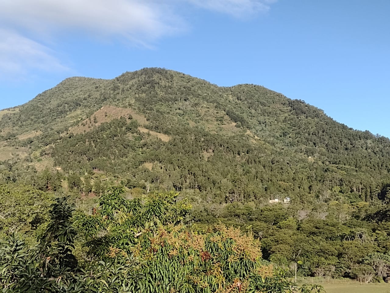 solares y terrenos - Vendo propiedad con titulo en Rincon de Piedra SAJOMA 146.19 TAREAS con Agua 