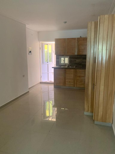 apartamentos - Alquilo 1er Piso San ISIDRO 2