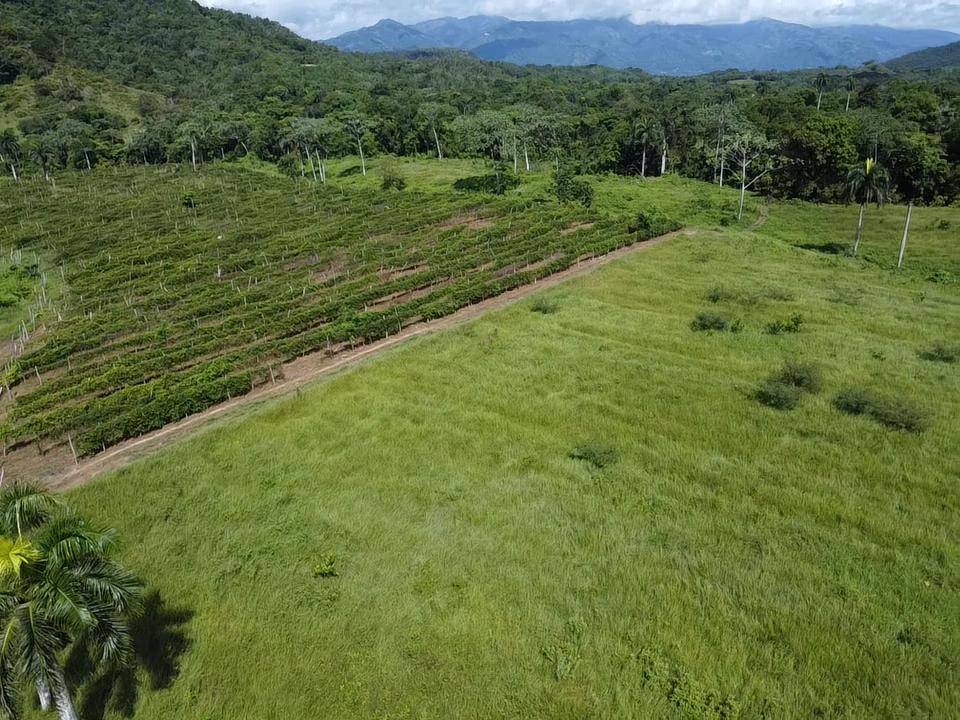 solares y terrenos - Vendo proyecto Invernadero en Bonao 1