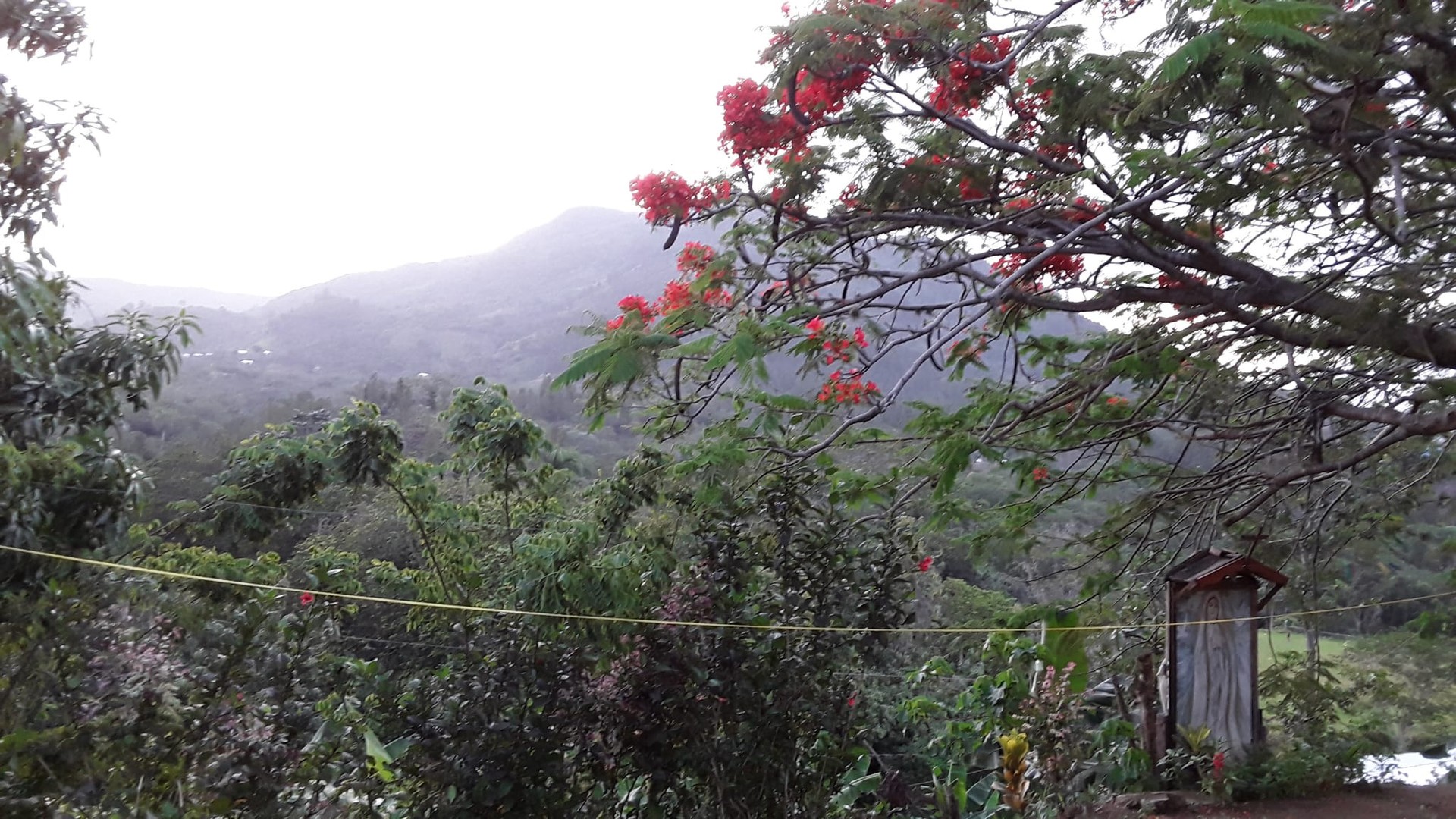 solares y terrenos - Vendo propiedad con titulo en Rincon de Piedra SAJOMA 146.19 TAREAS con Agua  1