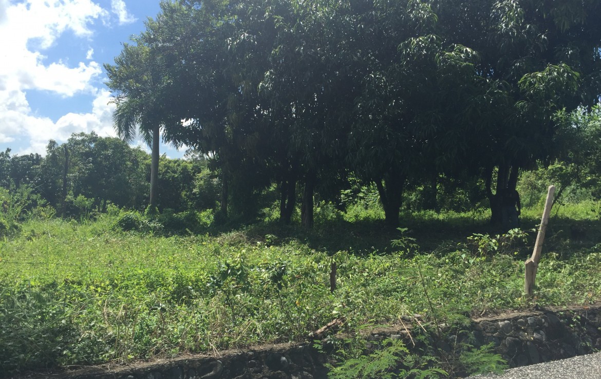 solares y terrenos - Finca en el KM 28 en Pedro Brand 2