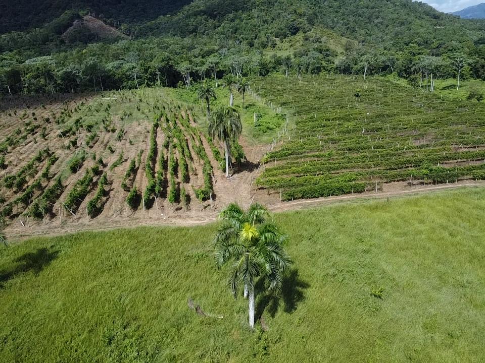 solares y terrenos - Vendo proyecto Invernadero en Bonao 2