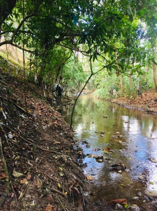 casas vacacionales y villas - VENDO FINCA CON RIO PRIVADO EN HATILLO 