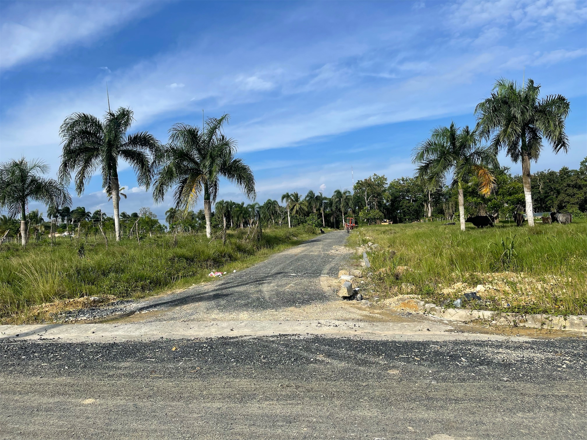 solares y terrenos - Vendo solares  en Residencial Doña Luz , aprovecha el descuento de apertura 3