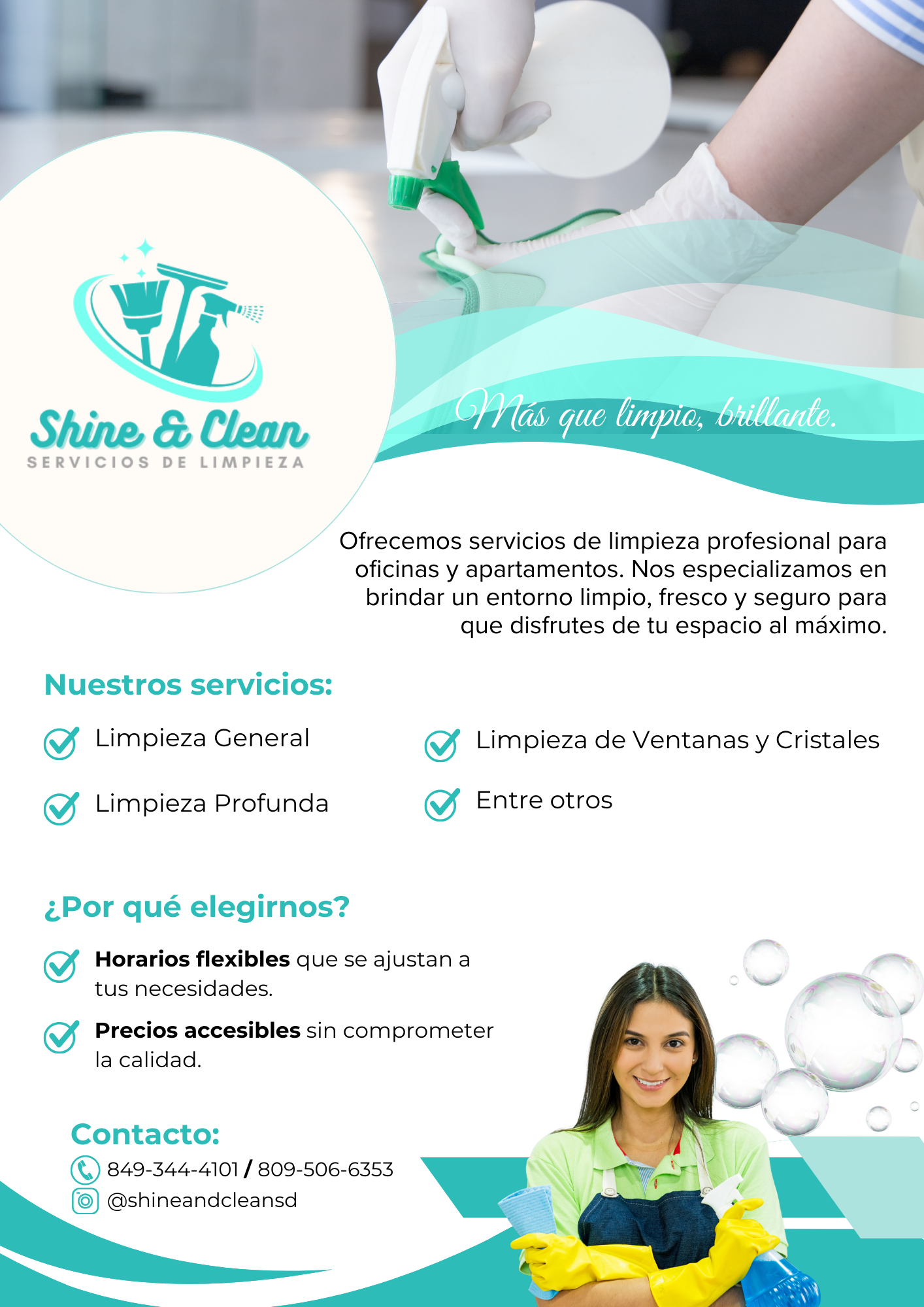 servicios profesionales - SERVICIOS DE LIMPIEZA 