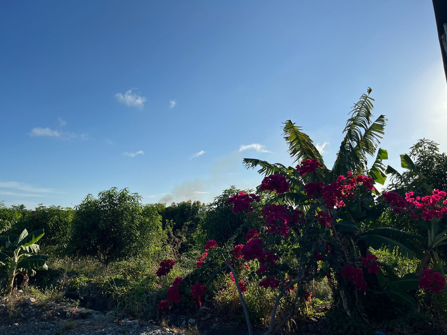 otros inmuebles - Finca en venta 1