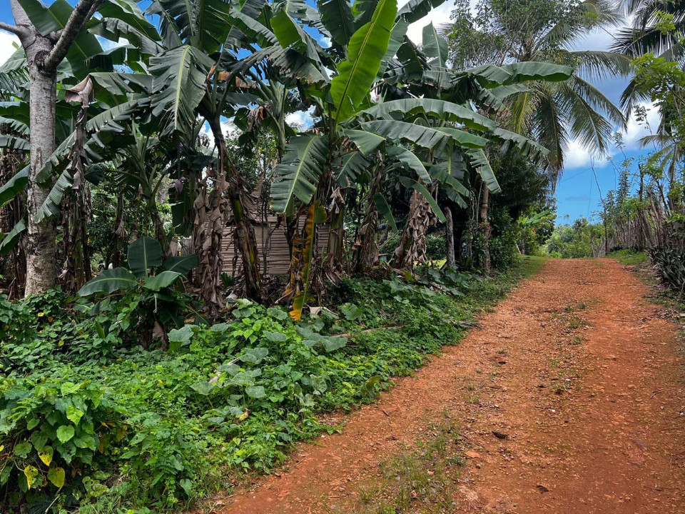 solares y terrenos - Terreno en Rincon Samana