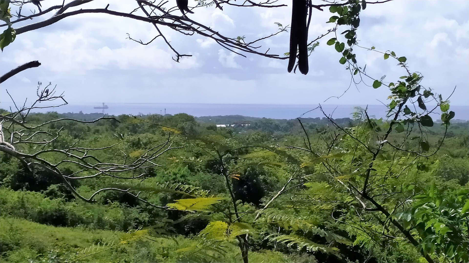 solares y terrenos - Solar terreno en venta Nigua, Haina, san Cristóbal, LA ZONA FRANCA DE NIGUA 4