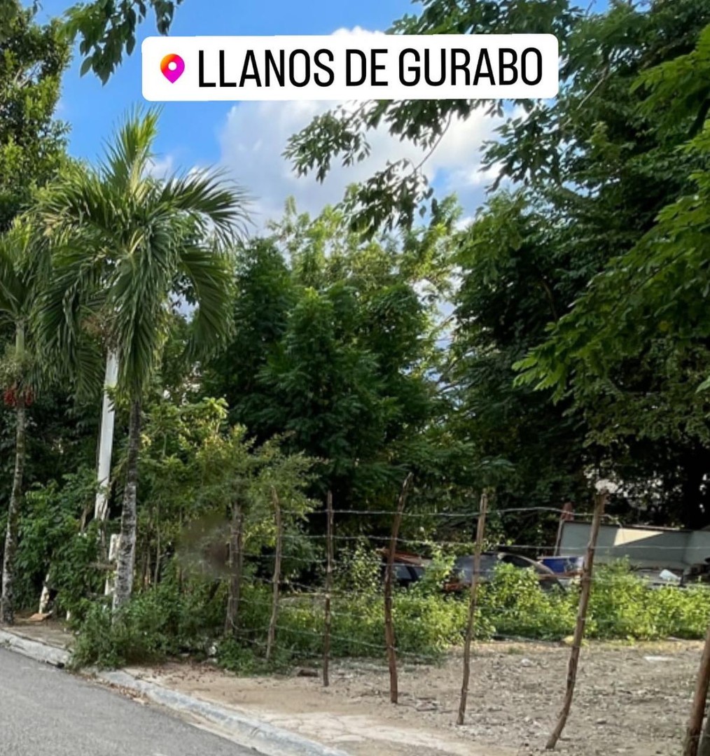 solares y terrenos - Terrenos en Llanos de Gurabo